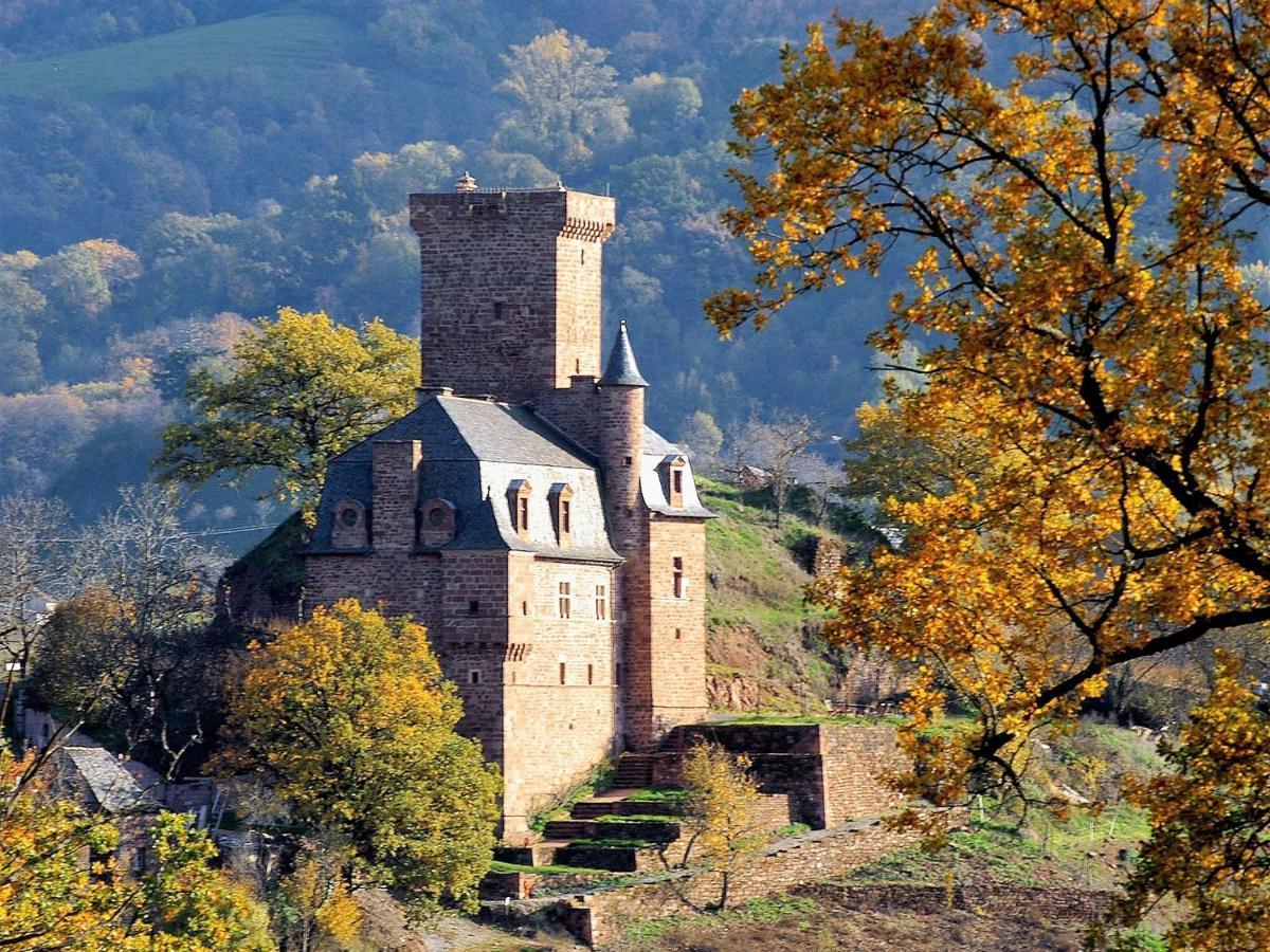 Chateau La Servayrie - Chambre D'Hotes Marcillac-Vallon Экстерьер фото
